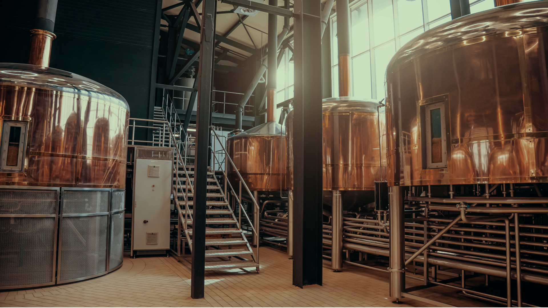 modern brewery stainless steel process